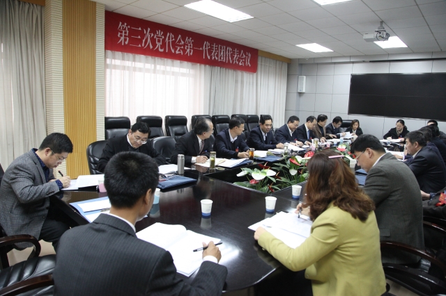 第一代表团 第一代表团
