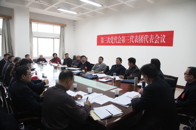 第三代表团 第三代表团