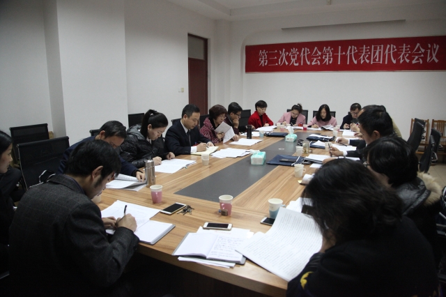 第十代表团 第十代表团