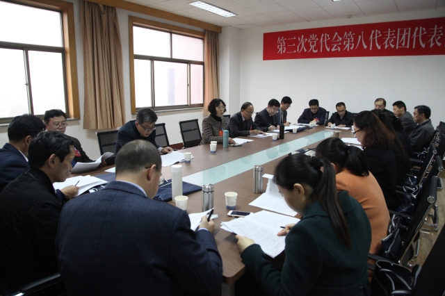 第八代表团 第八代表团