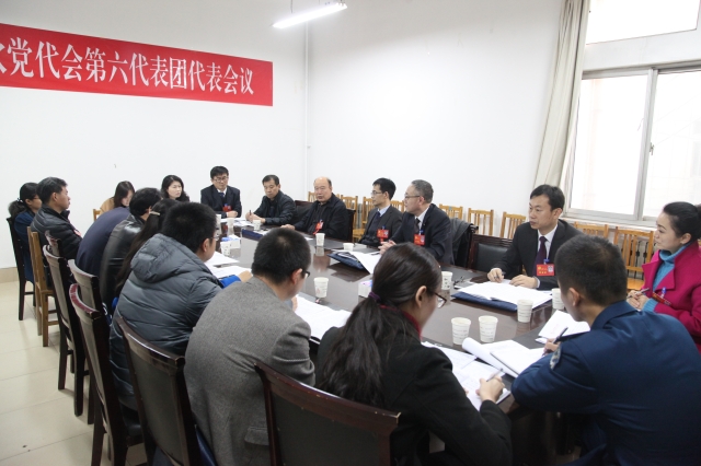 第六代代表团 第六代代表团